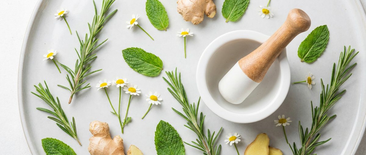Plant-based supplements